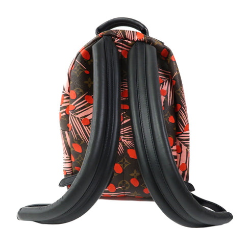 LOUIS VUITTON LV GHW Palm Springs PM Rucksack Backpack M41981 Monogram Brown