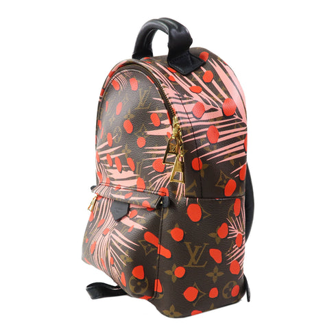 LOUIS VUITTON LV GHW Palm Springs PM Rucksack Backpack M41981 Monogram Brown