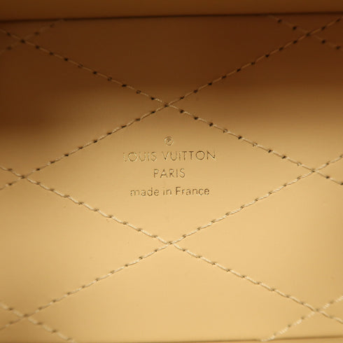 LOUIS VUITTON LV GHW Camera Box 2 Way Shoulder Bag M10079 Monogram Brown