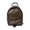 LOUIS VUITTON LV GHW Palm Springs PM Backpack M44871 Monogram Brown