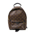 LOUIS VUITTON LV GHW Palm Springs PM Backpack M44871 Monogram Brown