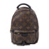 LOUIS VUITTON LV GHW Palm Spring Mini Backpack M44873 Monogram Brown