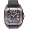 CARTIER Santos 100 Carbon Automatic Watch SS Titanium W2020010 Black