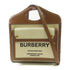 BURBERRY Mini Pocket 2 Way Shoulder Bag Canvas