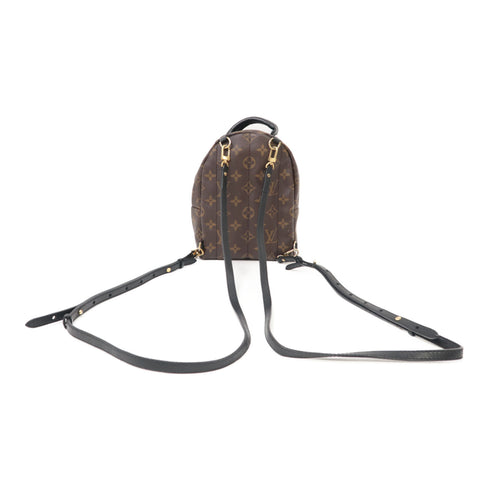 LOUIS VUITTON LV GHW Palm Springs Mini Rucksack Backpack M41562 Monogram Brown v1