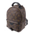 LOUIS VUITTON LV GHW Palm Spring Mini Backpack M44873 Monogram Brown