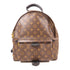 LOUIS VUITTON LV GHW Palm Springs MM Backpack M44874 Monogram Brown
