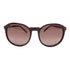 Chloe Sunglasses CL2191 PVC Purple