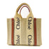 Chloe Mini Woody Handbag Canvas Beige Brown