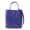 PRADA GHW Panier Saffiano 2 Way Shoulder Handbag 1BA212 Calfskin Leather Blue