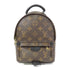 LOUIS VUITTON LV GHW Palm Springs Mini Rucksack Backpack M41562 Monogram Brown