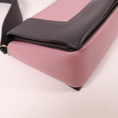 CELINE SHW Frame Shoulder Bag Calfskin Leather