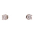 Jewelry Diamond Earrings 18K White Gold