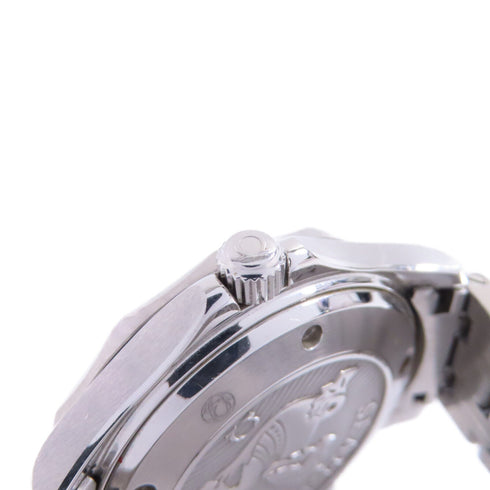 OMEGA Seamaster Diver 300 Automatic Watch 212.30.41.20.01.003 SS Black