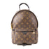 LOUIS VUITTON LV GHW Palm Spring Backpack M44874 Monogram Brown
