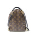 LOUIS VUITTON LV GHW Palm Springs Mini Backpack Rucksack Monogram Brown