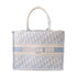 Christian Dior CD Book Tote Medium Tote Bag Canvas Light Blue