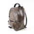 LOUIS VUITTON LV GHW Palm Springs Mini Backpack Rucksack Monogram Brown