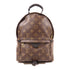 LOUIS VUITTON LV GHW Palm Springs PM Backpack M41560 Monogram