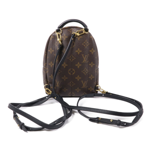 LOUIS VUITTON LV GHW Palm Spring Mini Backpack M44873 Monogram Brown