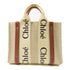 Chloe Mini Woody Handbag Canvas Beige Brown