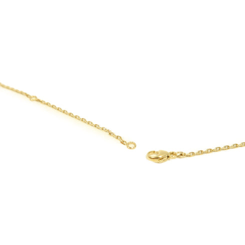 HERMES GHW Amulette Padlock Pendant Buffalo Horn/Metal Brown