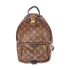 LOUIS VUITTON LV GHW Palm Springs PM Backpack Rucksack M41560 Monogram Brown