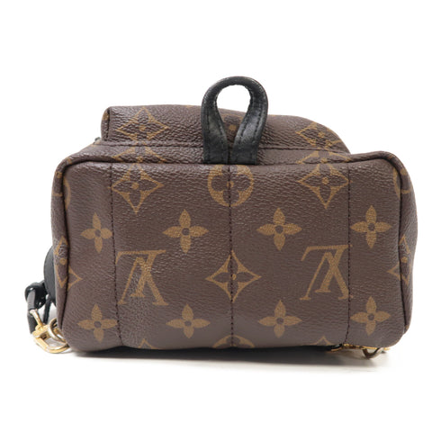LOUIS VUITTON LV GHW Palm Springs Mini Rucksack Backpack M41562 Monogram Brown v1