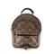 LOUIS VUITTON LV GHW Palm Springs Mini Backpack Rucksack Monogram Brown
