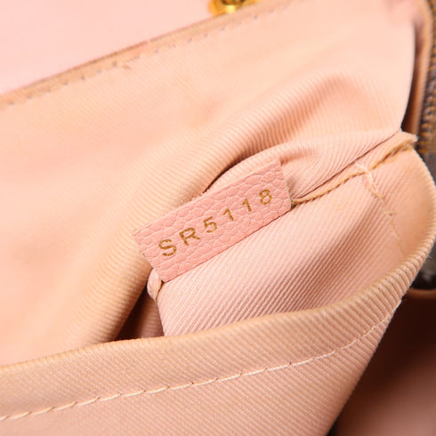 LOUIS VUITTON LV GHW Clapton Backpack N42262 Damier Ebene Pink/Brown