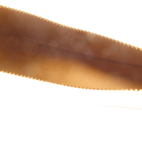 CELINE Ava Bag Shoulder Bag PVC Coated Canvas White