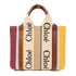 Chloe 2 Way Shoulder Bag Canvas Multicolor