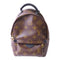LOUIS VUITTON LV GHW Palm Springs Mini Golden Backpack Monogram M41562 Brown