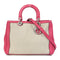 Christian Dior CD SHW 2 Way Shoulder Bag Canvas Pink