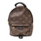 LOUIS VUITTON LV GHW Palm Springs Mini Rucksack Backpack M41562 Monogram Brown v1