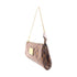 LOUIS VUITTON LV GHW Eva 2 Way Shoulder Bag N55213 Damier Brown v1