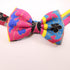 HERMES H Bow Tie Silk Multicolor