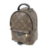LOUIS VUITTON LV GHW Palm Springs Mini Rucksack Backpack M41562 Monogram Brown