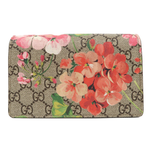 GUCCI GG SHW Dionysus Bloom Chain Shoulder Bag 476432 GG Supreme Brown/Red/Green