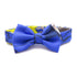 HERMES Mini Ribbon Bow Tie Silk Blue