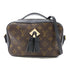 LOUIS VUITTON LV GHW Saintogen 2 Way Bag M43555 Monogram Brown/Black