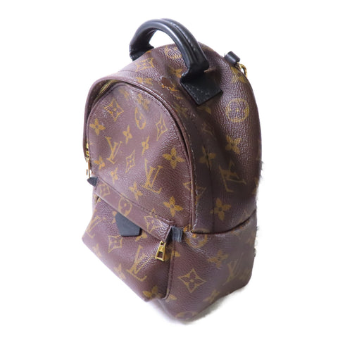 LOUIS VUITTON LV GHW Palm Springs Mini Golden Backpack Monogram M41562 Brown