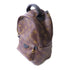 LOUIS VUITTON LV GHW Palm Springs Mini Golden Backpack Monogram M41562 Brown