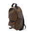 LOUIS VUITTON LV GHW Palm Springs PM Backpack M44871 Monogram Brown