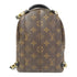LOUIS VUITTON LV GHW Palm Springs Mini Rucksack Backpack M41562 Monogram Brown